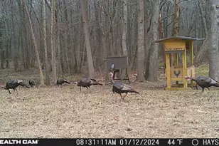 1585 Hays Mill Rd, Carrollton, GA 30117 - Photo 20