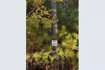 Lot 65 Green Terrace, Newnan, GA 30265 - Photo 2