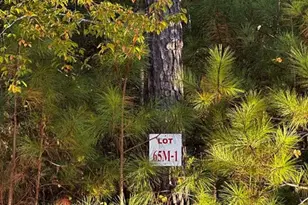 Lot 65 Green Terrace, Newnan, GA 30265 - Photo 2