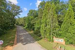 106 Maple Valley Dr, Jenkinsburg, GA 30234 - Photo 56