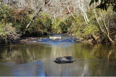 000 Lower Dowda Mill Road, Jasper, GA 30143 - Photo 18