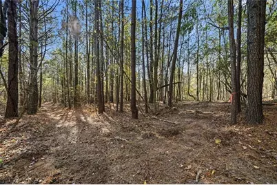 000 Lower Dowda Mill Road, Jasper, GA 30143 - Photo 20