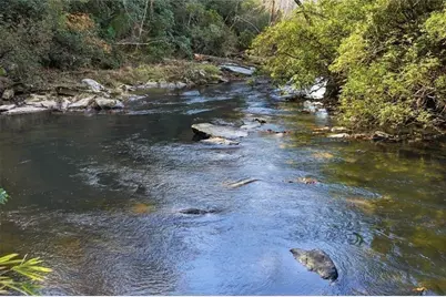 000 Lower Dowda Mill Road, Jasper, GA 30143 - Photo 2