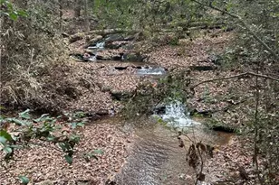 2885 Callie Still Rd, Lawrenceville, GA 30045 - Photo 62