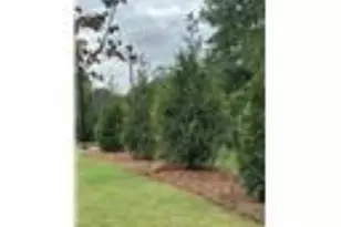 3415 Archerfield Way, Smyrna, GA 30080 - Photo 26