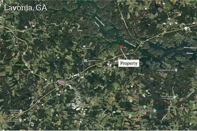 316 Arrowhead Drive, Lavonia, GA 30553 - Photo 8