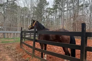 6600 Cascade Palmetto Hwy, Fairburn, GA 30213 - Photo 112