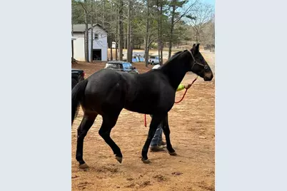 6600 Cascade-Palmetto Highway, Fairburn, GA 30213 - Photo 116