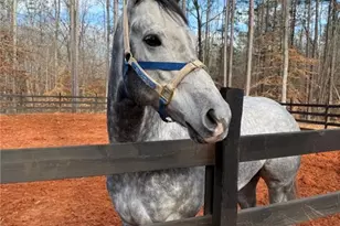 6600 Cascade Palmetto Hwy, Fairburn, GA 30213 - Photo 118