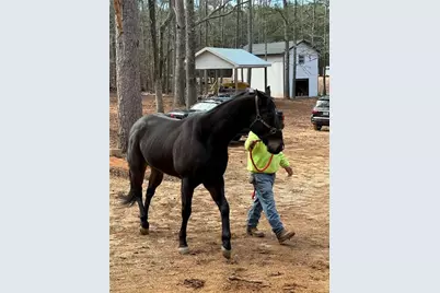 6600 Cascade-Palmetto Highway, Fairburn, GA 30213 - Photo 114