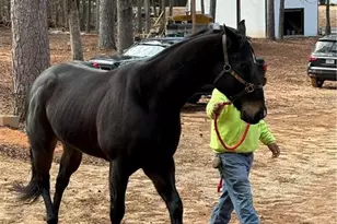 6600 Cascade Palmetto Hwy, Fairburn, GA 30213 - Photo 114