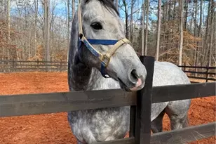 6600 Cascade Palmetto Hwy, Fairburn, GA 30213 - Photo 110