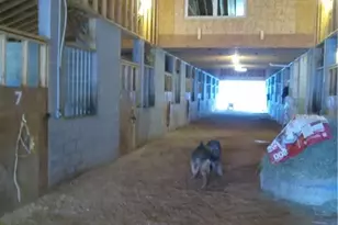 6600 Cascade Palmetto Hwy, Fairburn, GA 30213 - Photo 64