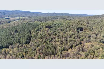 2091 Southern Road, Ellijay, GA 30536 - Photo 48