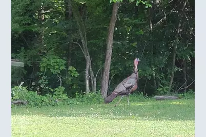 2091 Southern Road, Ellijay, GA 30536 - Photo 52