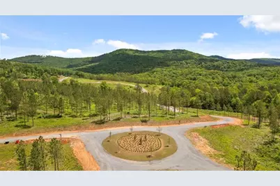 2468 Twisted Oak Road, Talking Rock, GA 30175 - Photo 88