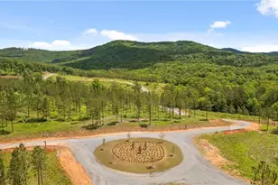 2468 Twisted Oak Rd, Talking Rock, GA 30175 - Photo 88