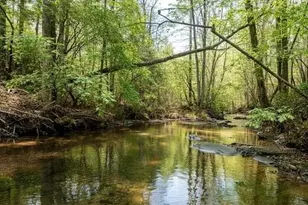 2468 Twisted Oak Rd, Talking Rock, GA 30175 - Photo 2