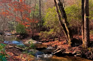 2468 Twisted Oak Rd, Talking Rock, GA 30175 - Photo 4