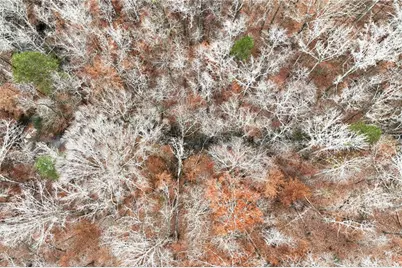 4765 Warwick Drive, Gainesville, GA 30506 - Photo 10