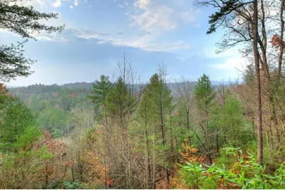 89 N Whitepath Circle, Ellijay, GA 30540 - Photo 36