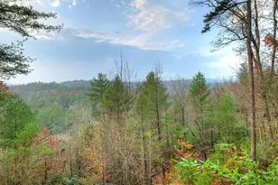 89 N Whitepath Cir, Ellijay, GA 30540 - Photo 36