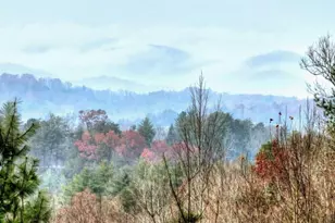 89 N Whitepath Cir, Ellijay, GA 30540 - Photo 6