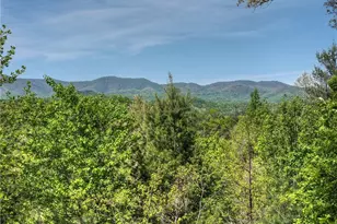 89 N Whitepath Cir, Ellijay, GA 30540 - Photo 2