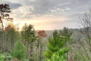 89 N Whitepath Cir, Ellijay, GA 30540 - Photo 38