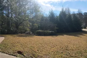 344 Mary Dr, McDonough, GA 30252 - Photo 48