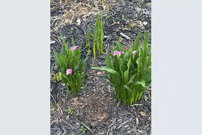 4215 Pheasant Run Trace, Cumming, GA 30028 - Photo 38