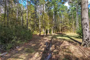 353 Old Tennessee Hwy NE, White, GA 30184 - Photo 90