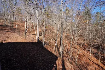 365 Avery Drive, Talking Rock, GA 30175 - Photo 48