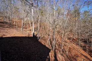 365 Avery Dr, Talking Rock, GA 30175 - Photo 48