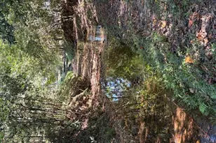 1120 Russell Dr, Griffin, GA 30224 - Photo 32