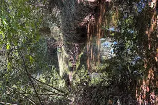 1120 Russell Dr, Griffin, GA 30224 - Photo 34