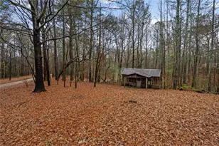 101 3rd Ave, Buchanan, GA 30113 - Photo 26