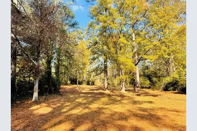 318 W Bonnell Street, Oxford, GA 30054 - Photo 38