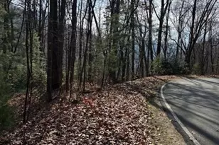 0 Evergreen Ln, Sky Valley, GA 30537 - Photo 12