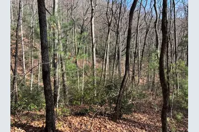 0 Evergreen Lane, Sky Valley, GA 30537 - Photo 10