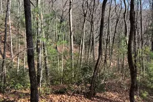 0 Evergreen Ln, Sky Valley, GA 30537 - Photo 10