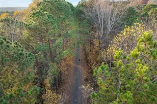 552 Micayne Cir SE, Smyrna, GA 30082 - Photo 58