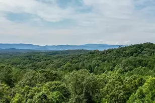 211 Big Timber Rd, Mineral Bluff, GA 30559 - Photo 2