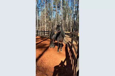 6600 Cascade-Palmetto Highway, Fairburn, GA 30213 - Photo 98