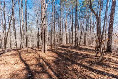 00 Snote Jones Road, Dallas, GA 30132 - Photo 18