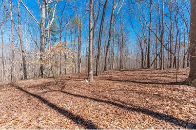 00 Snote Jones Road, Dallas, GA 30132 - Photo 22