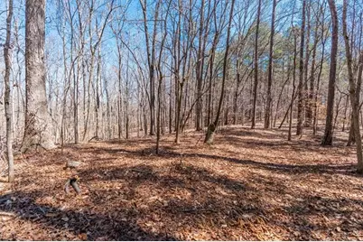 00 Snote Jones Road, Dallas, GA 30132 - Photo 14