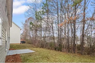 4390 Pipestone Place, Douglasville, GA 30135 - Photo 44