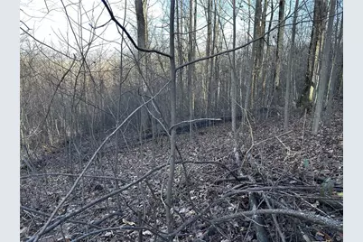 281 Andes Ridge, Ellijay, GA 30536 - Photo 20