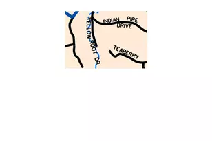 458 Tea Berry Ln, Big Canoe, GA 30143 - Photo 36